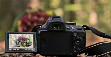 Nikon D750 Vs D7500 ¿Qué cámara elijo?