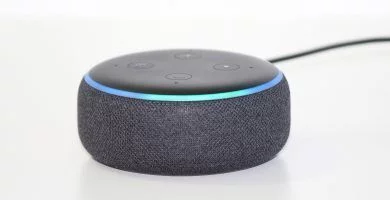 amazon echo vs echo dot cual es mejor