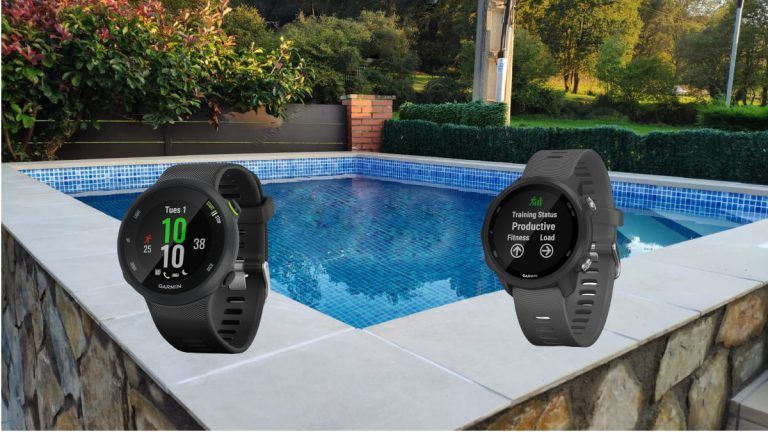 garmin forerunner 245 v 45